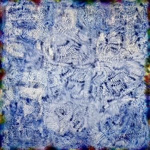 Blue Lichen - Rose-Mari Torpo (1)