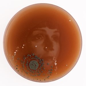 Johanna Rotko6-Henni-20cm_W6A3243 - (1)