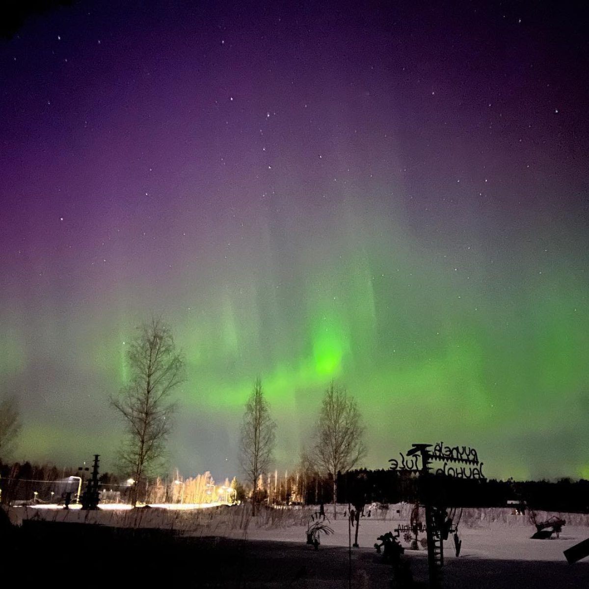 aurora-haihatus